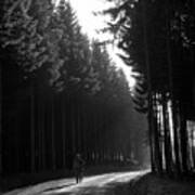 Soldier Walking Through The Forest - Battle Of The Bulge - 1944 Art Print