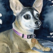 Sophie - Chihuahua Dog Painting Art Print