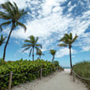 South Beach Miami, Florida Beach Entrance With Palm Trees Art Print