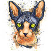 Sphynx Cat Painting, Splatter Watercolor Sphynx Art Print