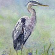 Spring Heron Art Print