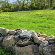 Springtime Green Field And Stone Wall I Art Print