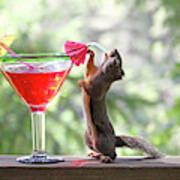 Squirrel At Cocktail Hour Art Print