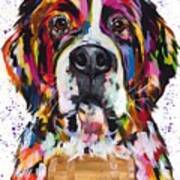 St. Bernard Art Print