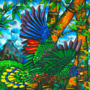 St. Lucia Parrot Art Print