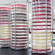 Stacks Of Petri Dishes Art Print