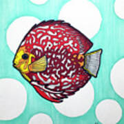 Stendker Discus Fish Art Print
