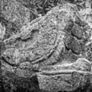 Stone Snakehead Carving - Chichen Itza Art Print