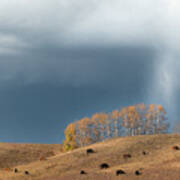 Storm Over An Alberta Fall Pasture Art Print