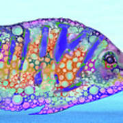 Strange Fish Design 183 Art Print