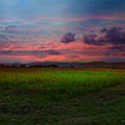 Sugar Cane Field In Campo Alegre, Colombia Art Print