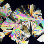 Sugar Crystals Micrograph In Abstract Pattern Art Print