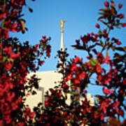 Summer Afternoon - Rexburg Idaho Temple Art Print