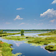 Summer Landscape At Whites Bog Art Print