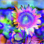 Sunflower Blues Art Print