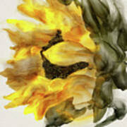 Sunflower In Profile Art Print
