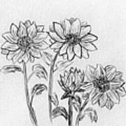 Sunflower Sketch Art Print