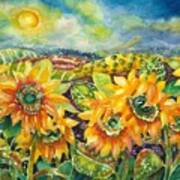 Sunflowers And Vineyards Art Print