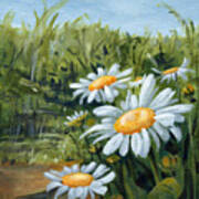 Sunny Side Of Life - Daisies Painting Art Print