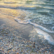 Sunrise Seashells At Sanibel Island Florida. Art Print