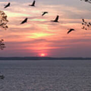 Sunset And Birds At Kentucky Lake Art Print