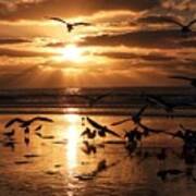 Sunset Seagull Party Art Print