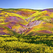 Superbloom Hills Above Carrizo Plain, California Art Print