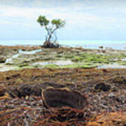 Surroundings - Florida Mangroves Sponges Art Print