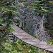 Suspension Bridge In Glacier National Park Art Print