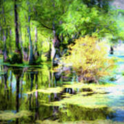 Swamp Of Many Colors Ap Art Print
