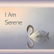 Swan I Am Serene Art Print