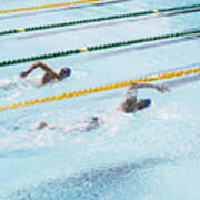 Swimmers Racing In Pool Art Print