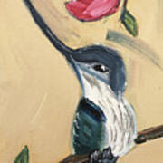 Sword Billed Hummingbird Art Print