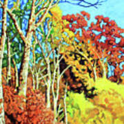 Sycamores In Autumn Art Print