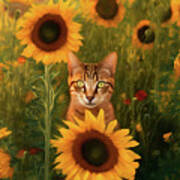 Tabby Cat And Sunflowers Art Print