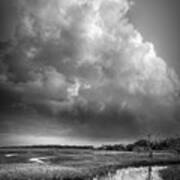 Tall Clouds Over The Marsh Black And White Art Print