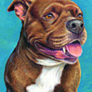 Tallulah The Staffordshire Bull Terrier Dog Art Print