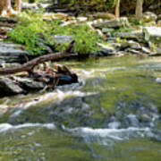 Tanyard Creek Rushing Water Art Print