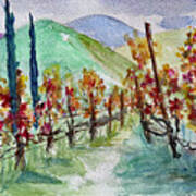 Temecula Vineyard Landscape Art Print