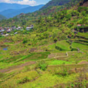 Terraces Of Sagada Art Print