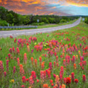 Texas Highways Bliss Art Print