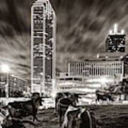Texas Longhorn Cattle Drive To The Dallas Skyline In Sepia Art Print