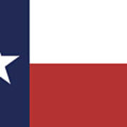 Texas State Flag Art Print