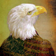 The American Bald Eagle Art Print