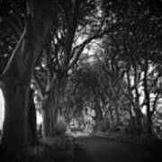 The Dark Hedges G.o.t #1 Art Print