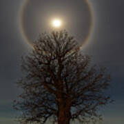 The Famous Stoughton Tornado Oak Tree With Moon Halo Art Print