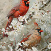 The Handsome Cardinal Couple Art Print