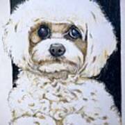 The Little Dog Art Print