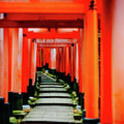 The Path, Fushimi Inari Taisha, Kyoto Art Print