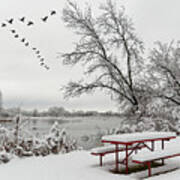 The Picnic Is Over, Let's Head South -  Red Snow Covered Picnic Table And Geese At Yahara River Wi Art Print